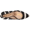 image:imageSam Edelman Womens Hazel Pointed Toe PumpIvoryBlack