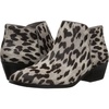 Grey Leopard